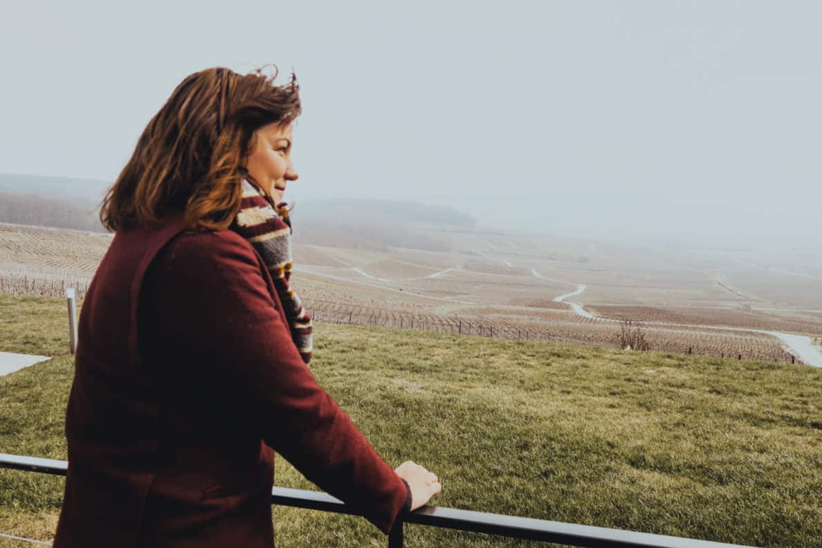 De weg naar Weinakademiker - deel 4 (FAQ)