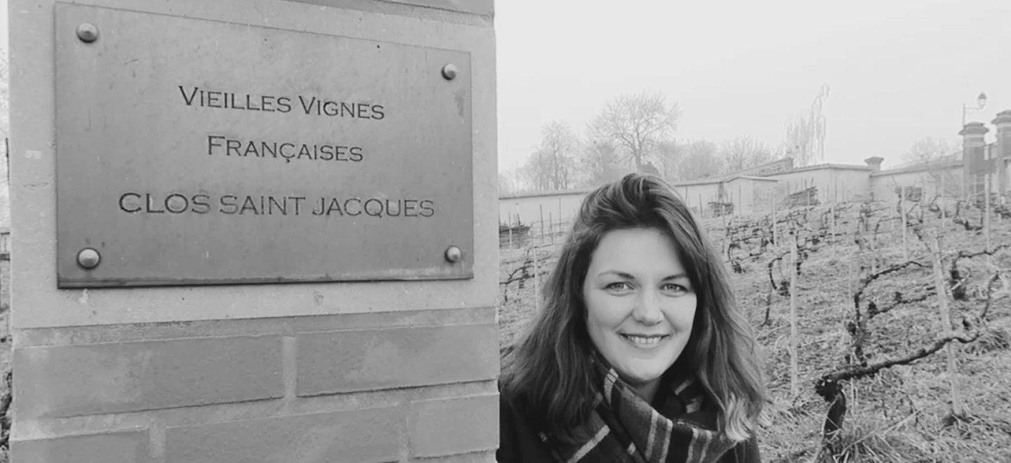 Historisch moment: Ik proefde Vieilles Vignes Françaises 2006 bollinger