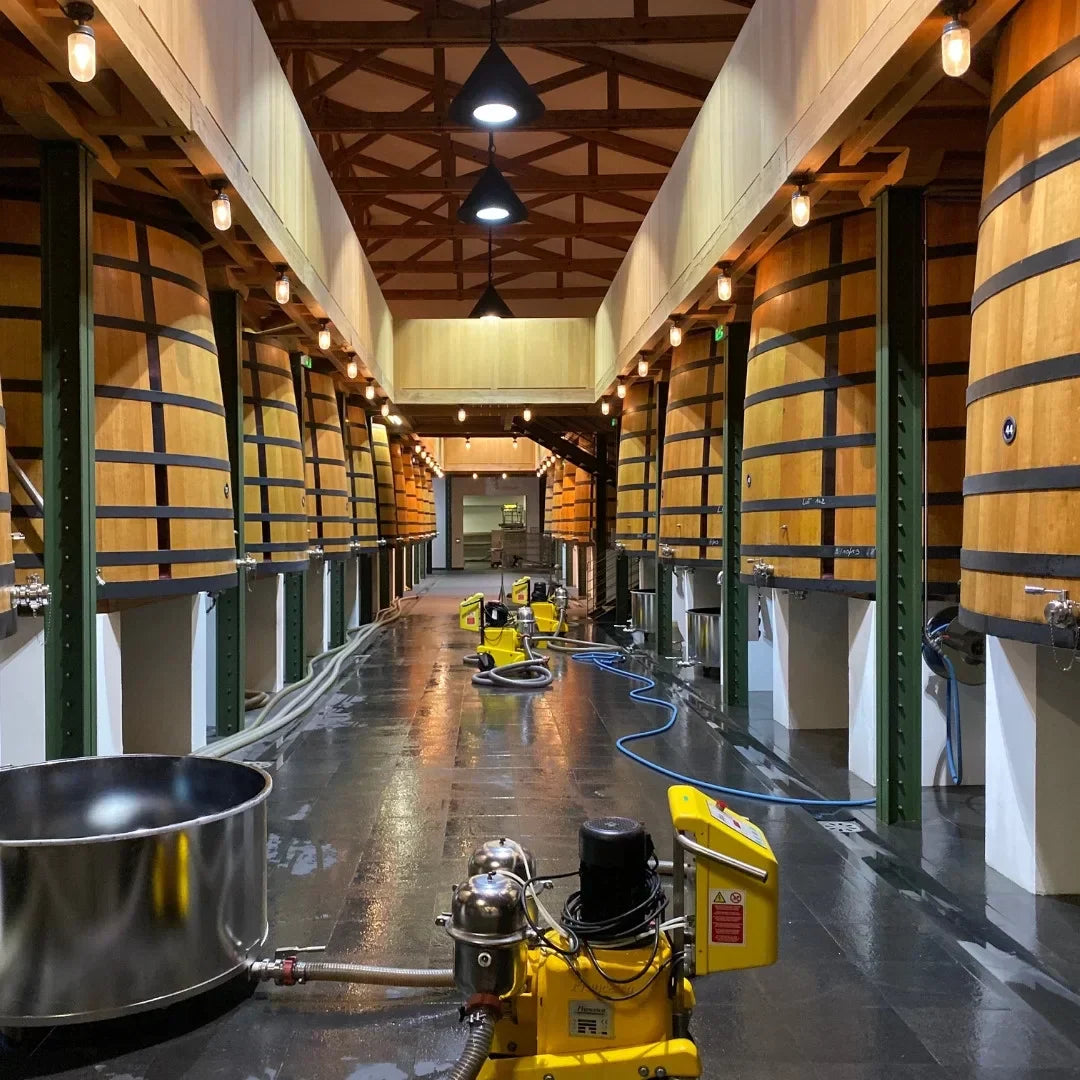 Vragen en antwoorden over alcoholische gisting