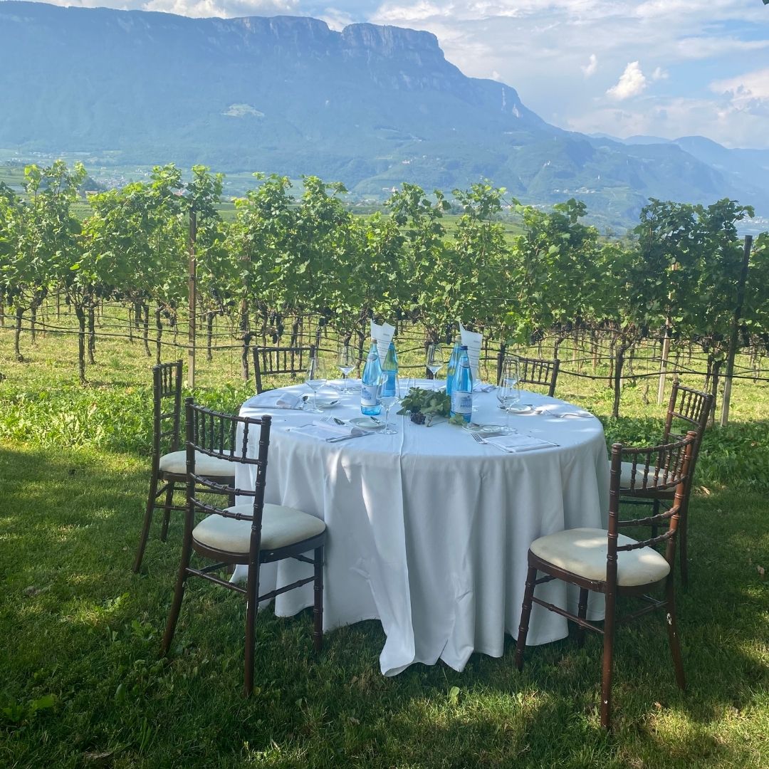 Wijn proeven in Alto Adige, Italië