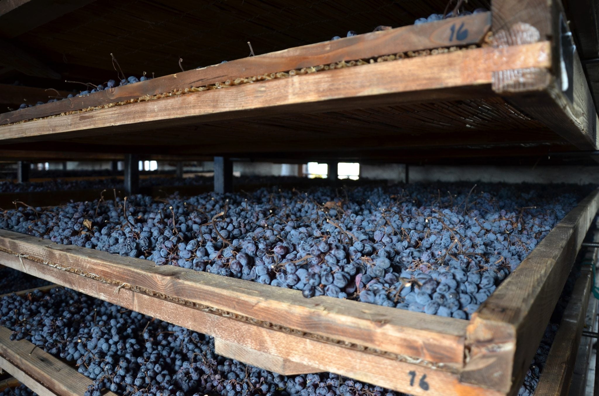 Hoe wordt Amarone della Valpolicella gemaakt?