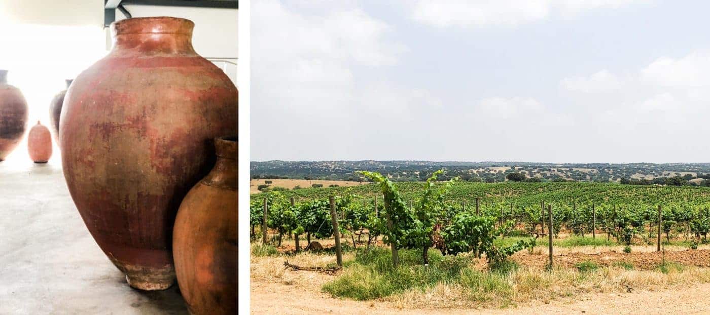 De schat van de Alentejo: Vinho de Talha – amforawijn