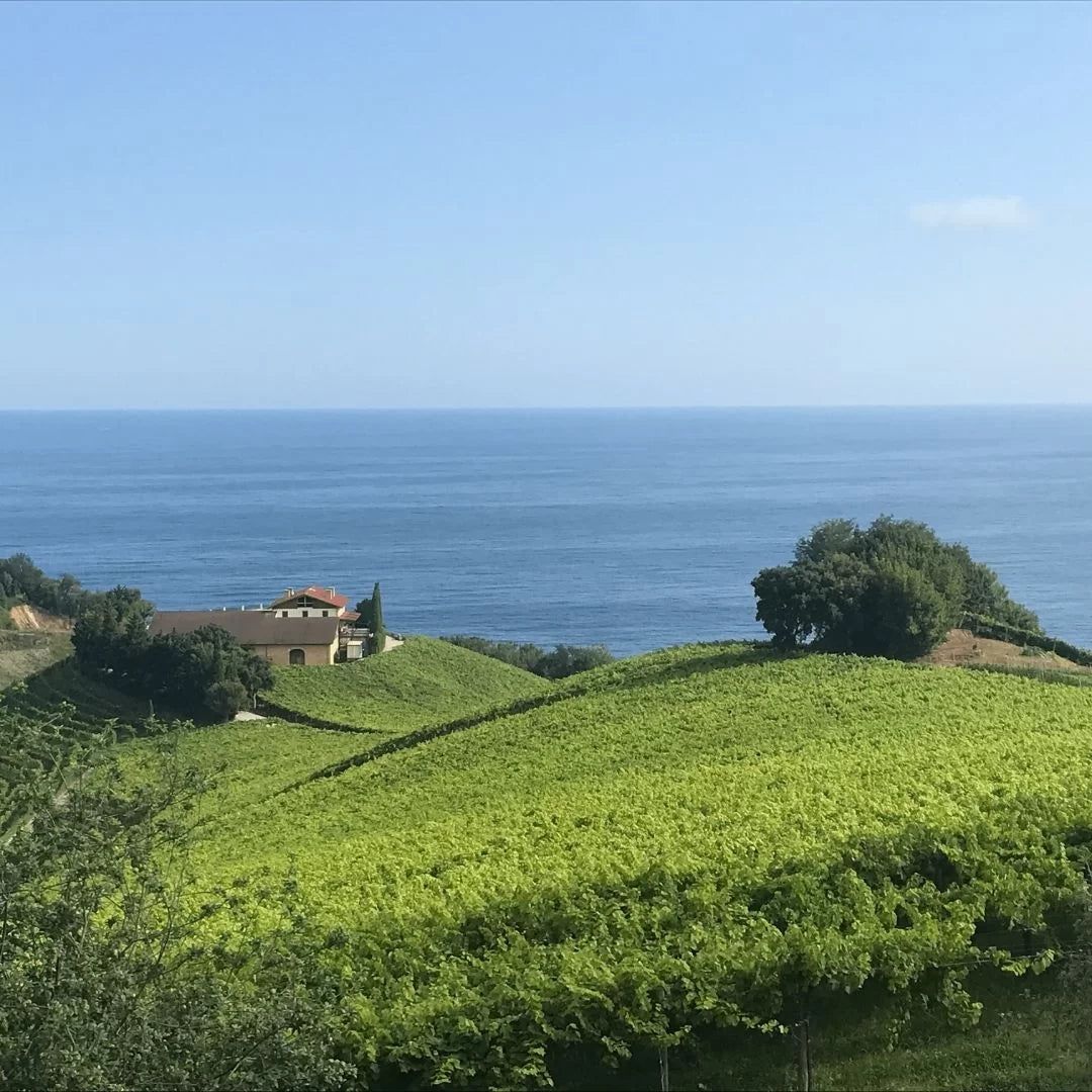 Spanje Baskenland Bilbao Wijnreis Wijn Txakoli