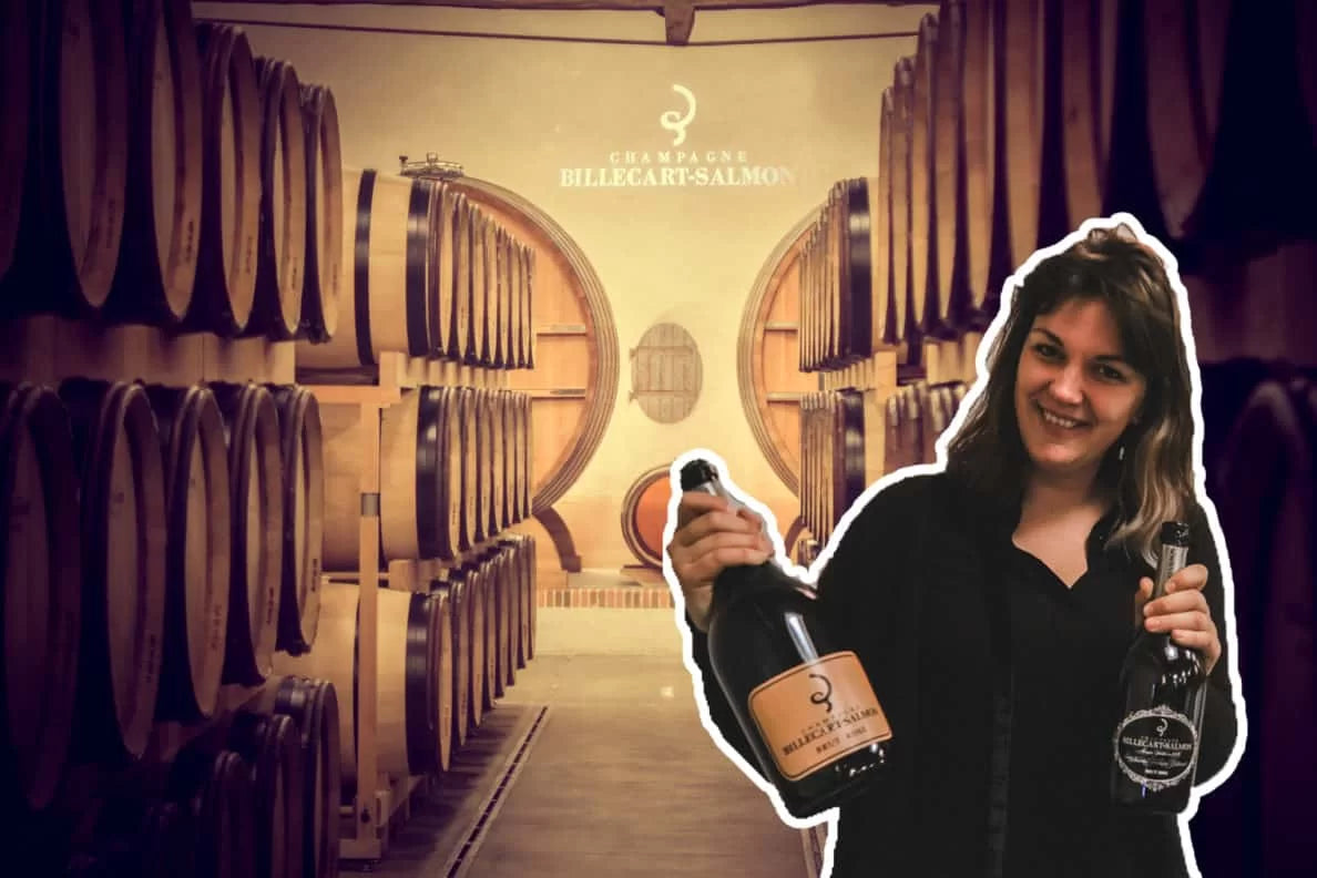 frankrijk champagne billecart-salmon champagnereis wijngaard wijnhuis