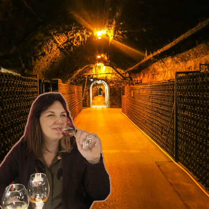 Frankrijk wijngaard champagne champagnereis bollinger wijnhuis