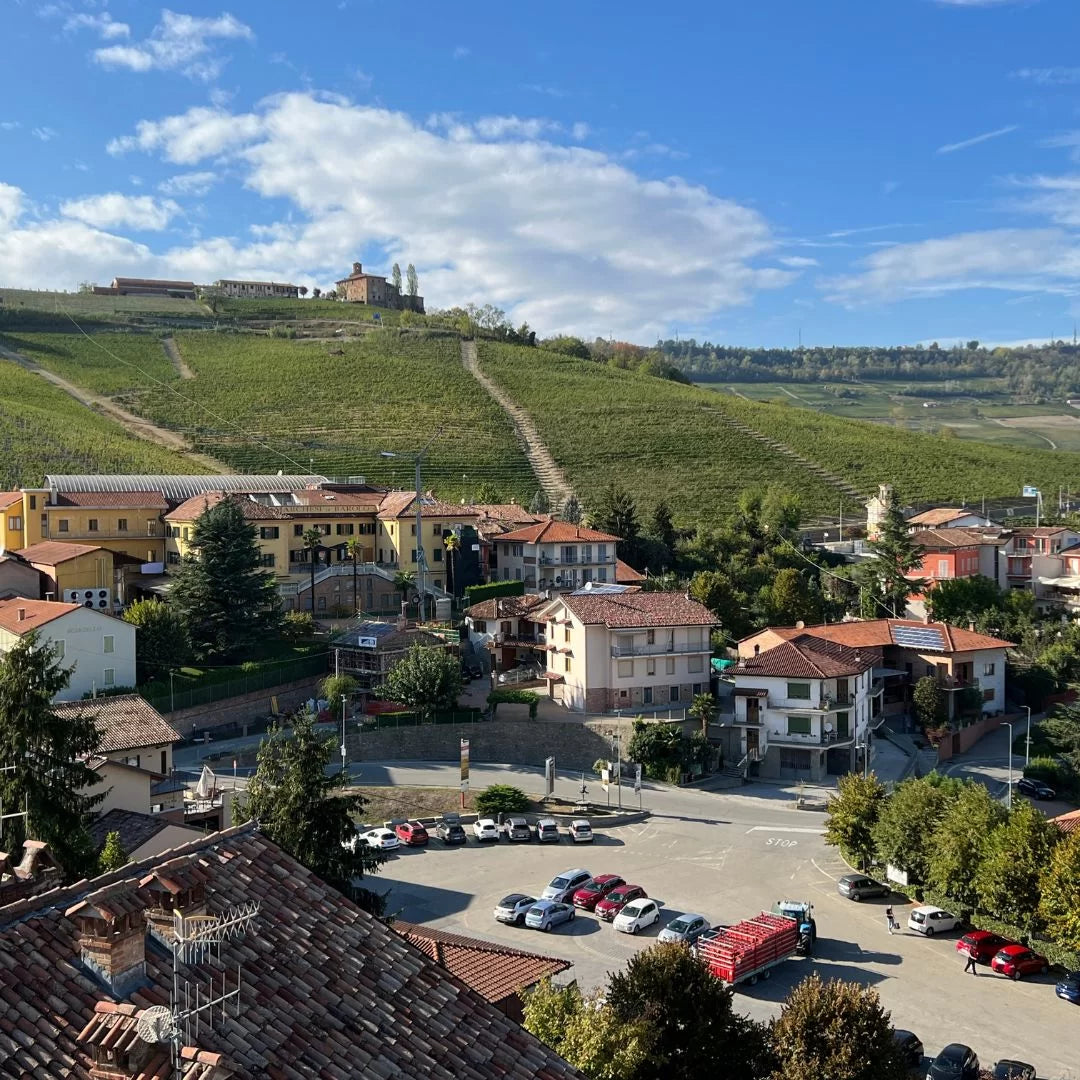 italië piemonte borgogno barolo wijnhuis wijnreis wijngaard