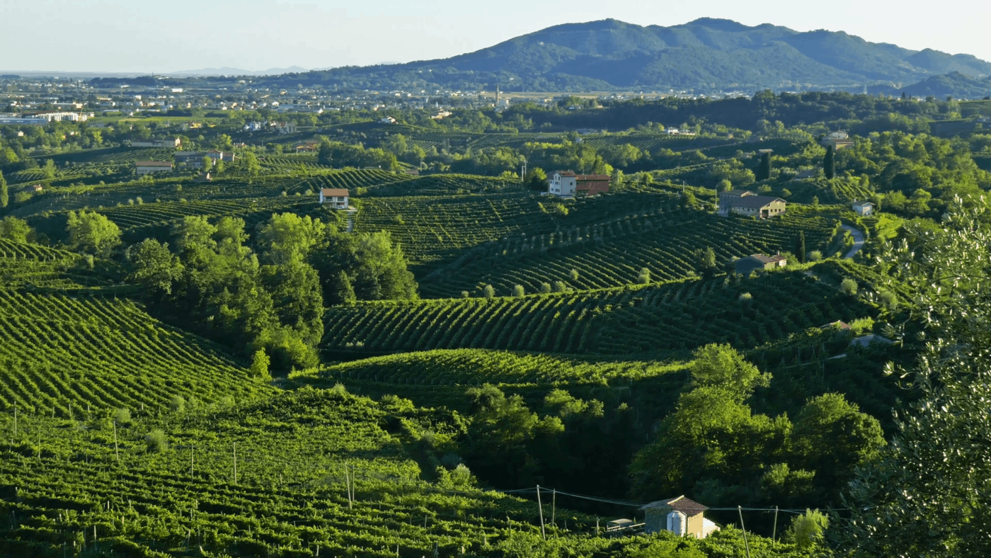 Bestaat er ook lekkere prosecco?