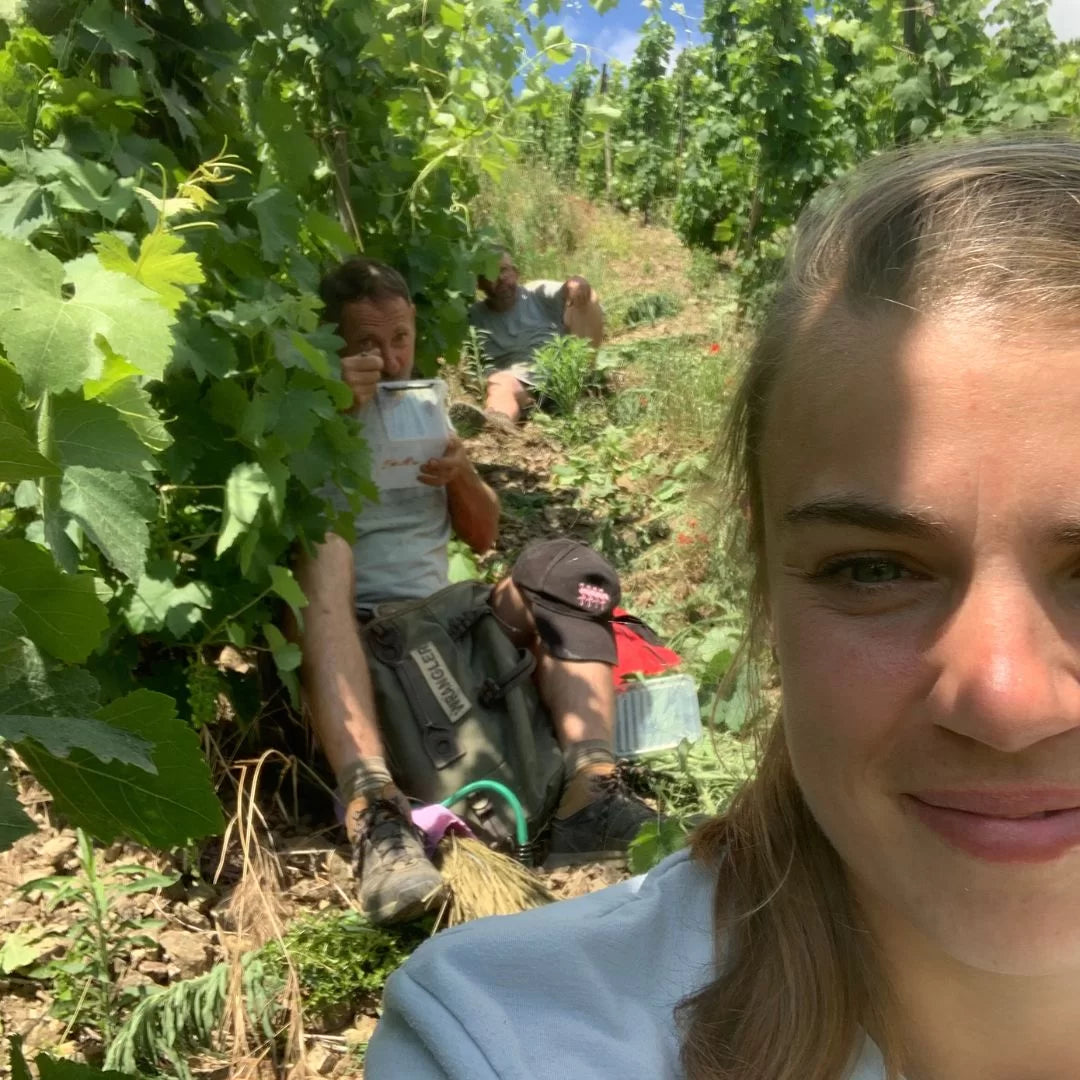 Een dag uit het leven van een wijngaardmeisje