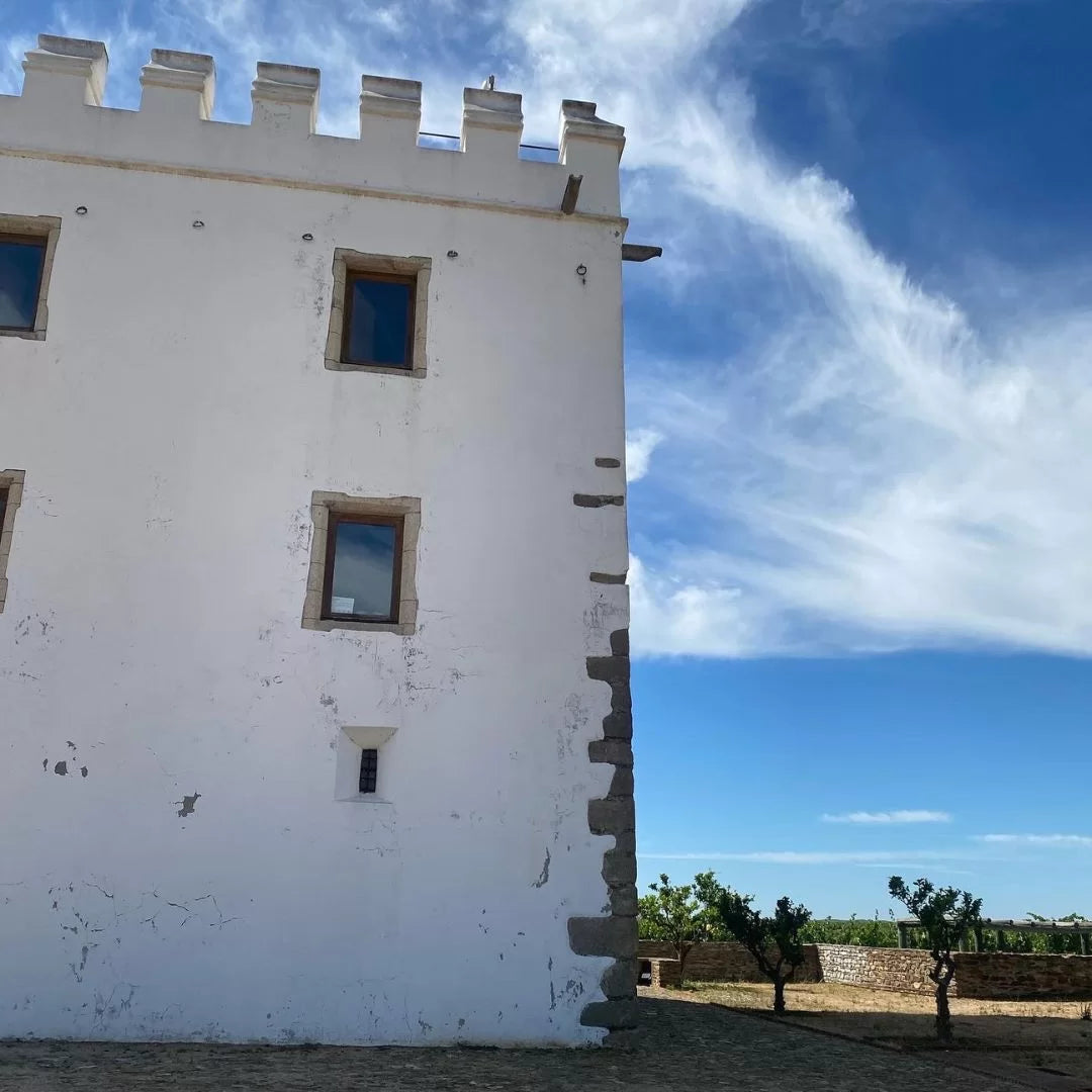 Binnenkijken bij Herdade de Esporão in de Alentejo