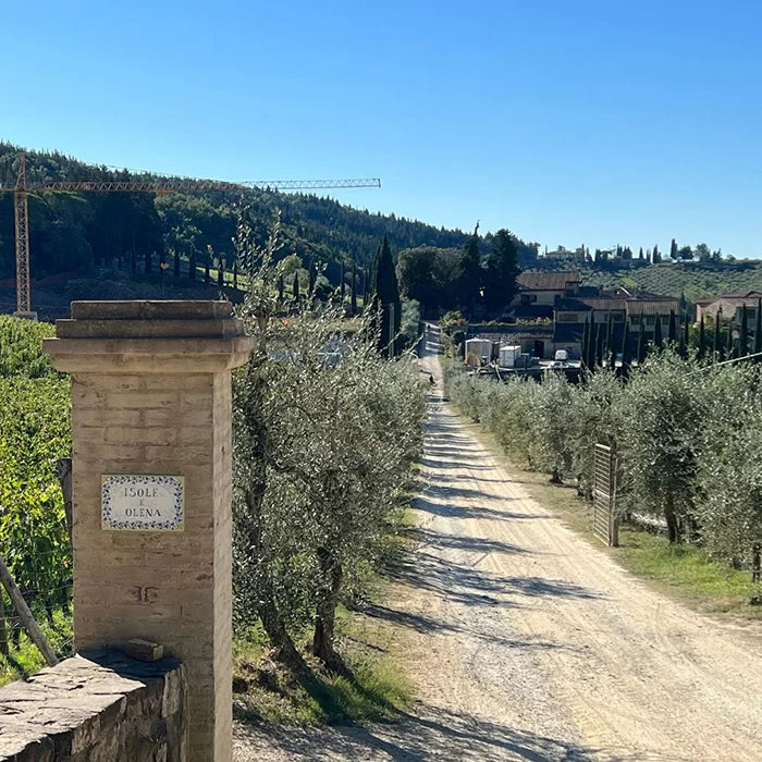 italië chianti classico toscane wijnregio wijnstreek wijngaard wijnhuis wijnreis