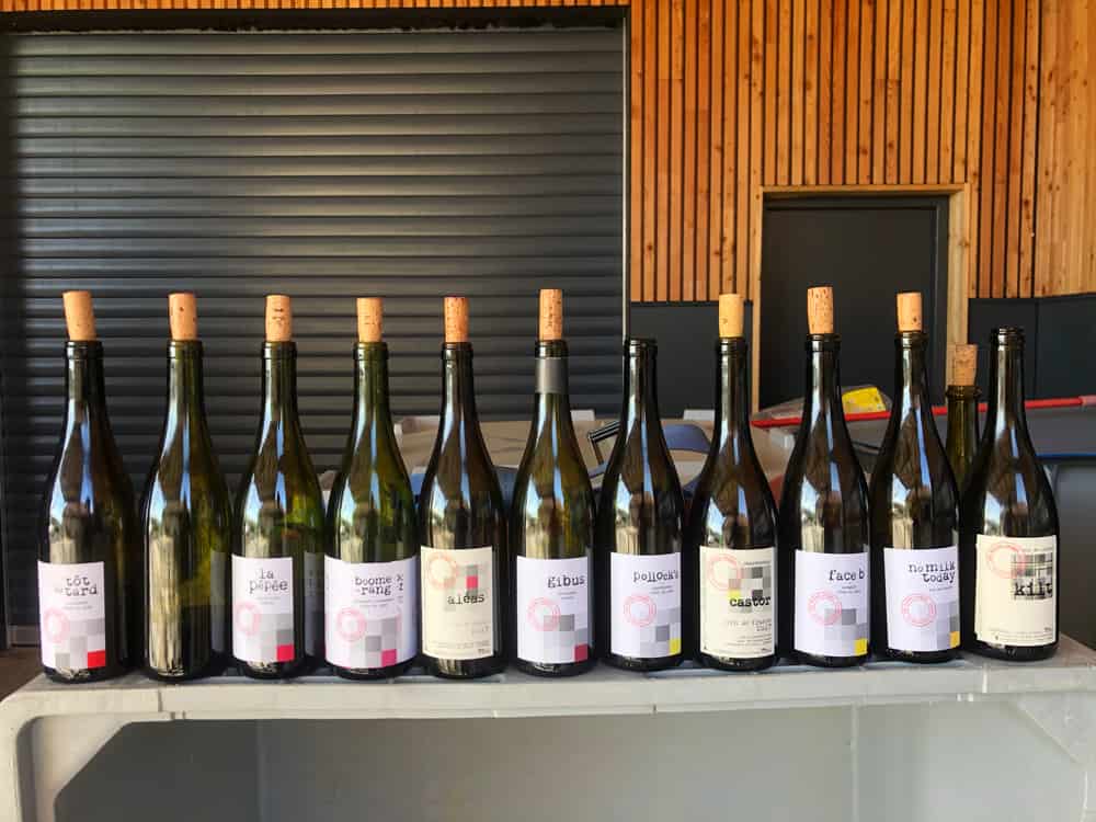 Domaine Les Bottes Rouges Arbois Frankrijk Wijngaard Stage Le Club des Vins Wijnmakers