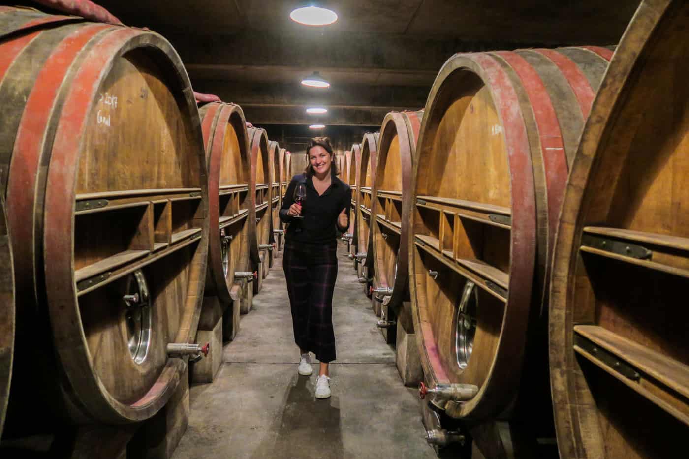 le club des vins rhône languedoc wijnhuizen wijnreis chateaux frankrijk