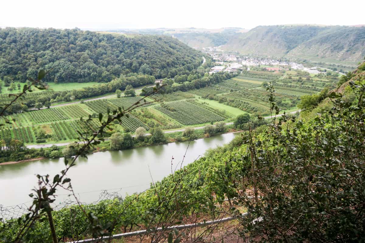 Tijd voor Duitse wijnen