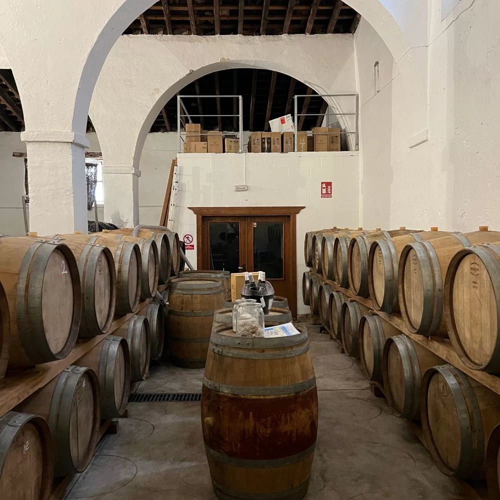 Ken je deze drie wijnmakers uit Andalusië al?