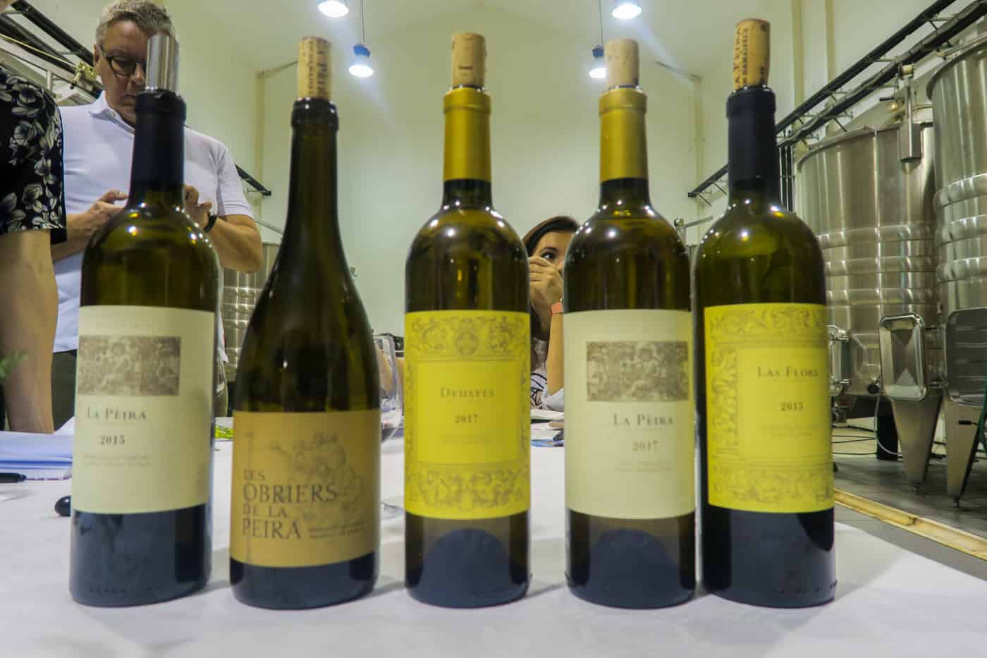 Frankrijk Languedoc Roussillon wijnhuizen wijngaard wijntrip wijnreis