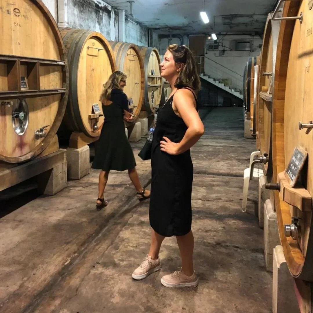 domaine tempier bandol frankrijk provence wijngaard wijnhuis domaine aix-en-provence