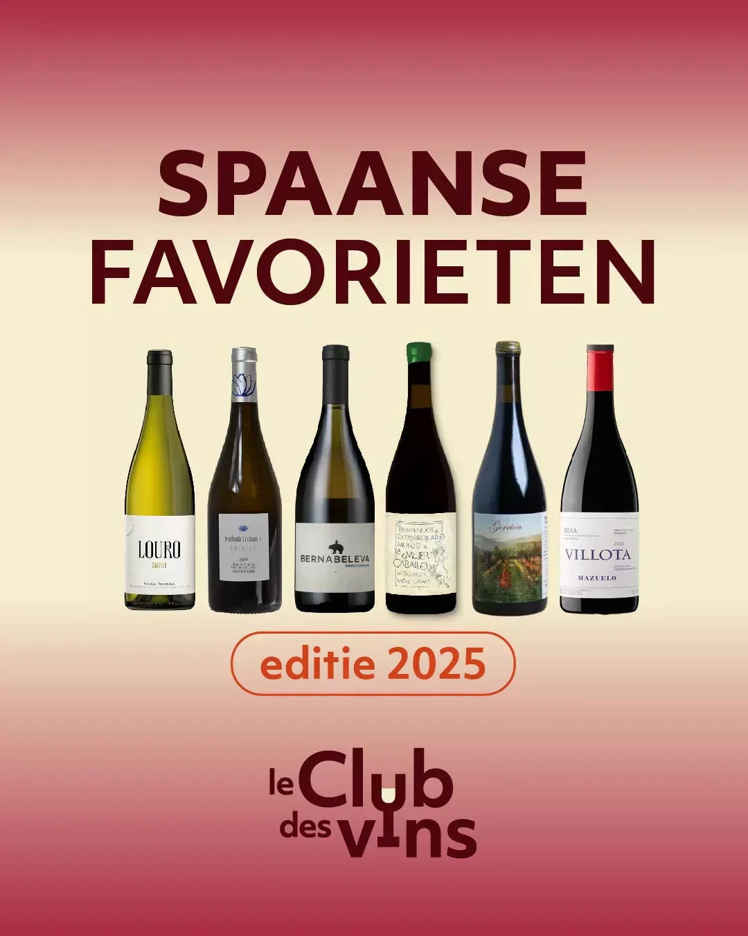 Update 2025: 6x Spaanse favorieten