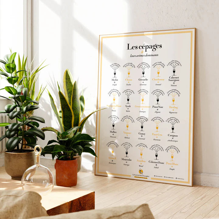 Poster - Grape Varieties