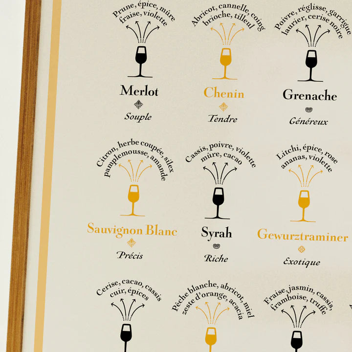 Poster - Grape Varieties