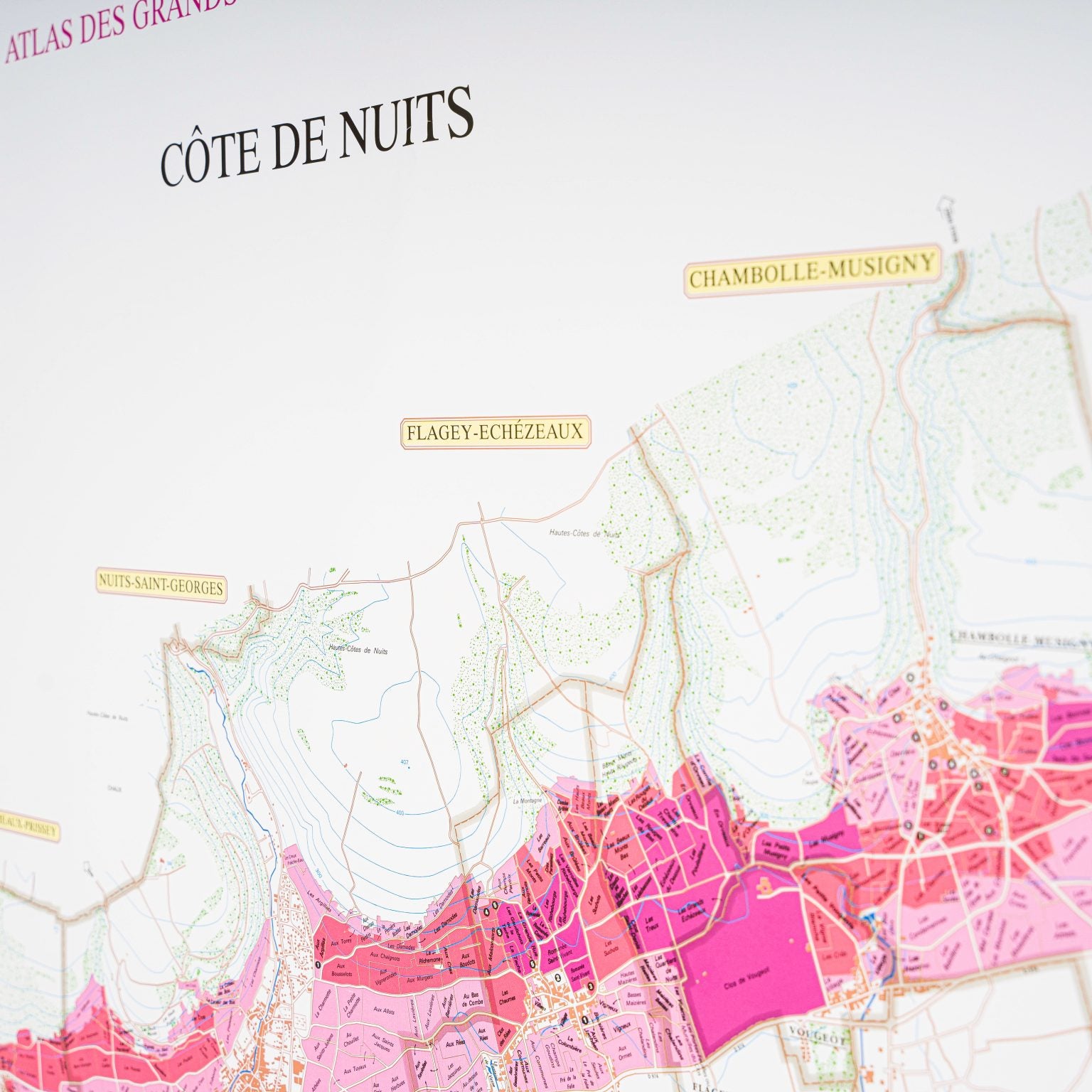 Côte d'Or: Côte de Nuits & Côte de Beaune