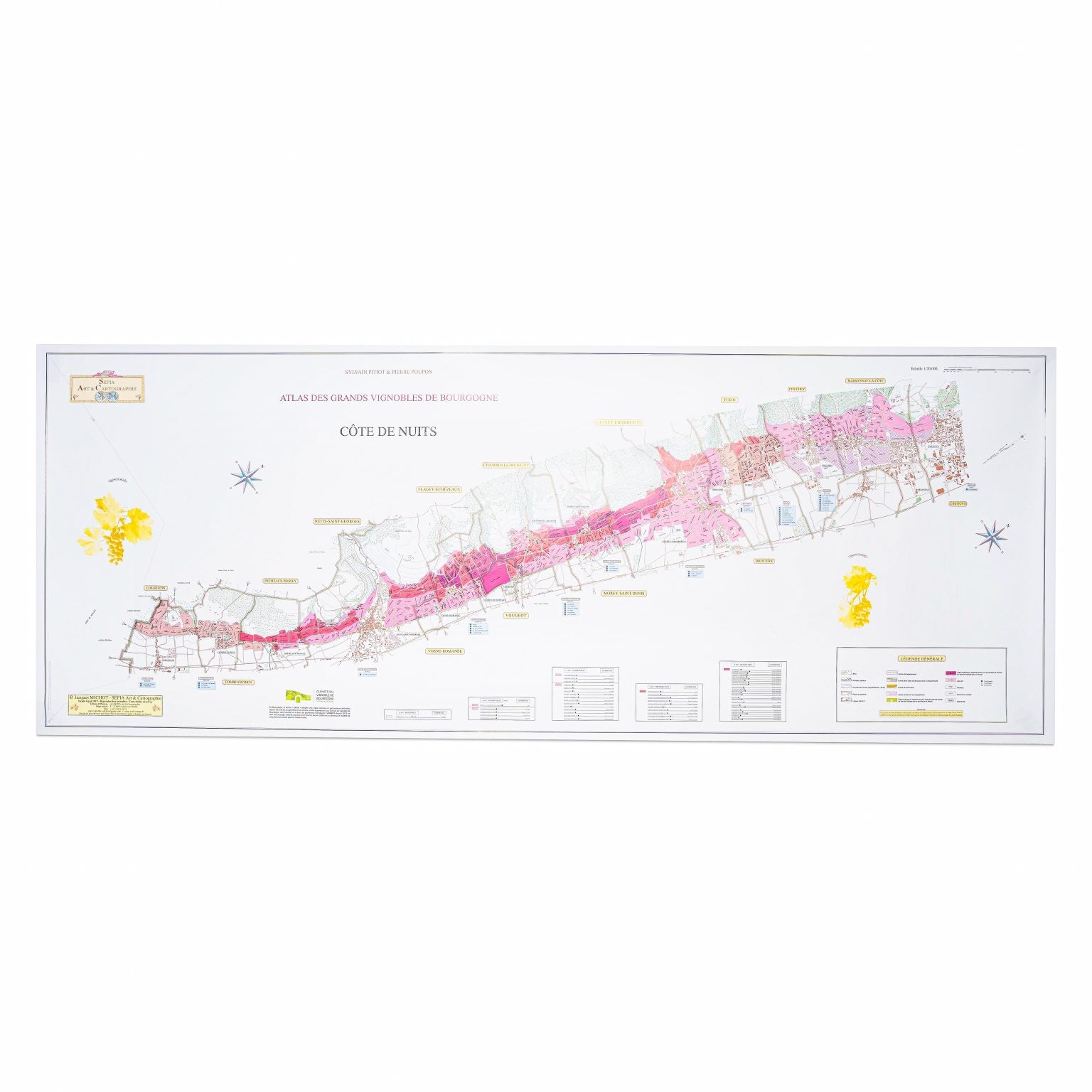 Côte d'Or: Côte de Nuits & Côte de Beaune