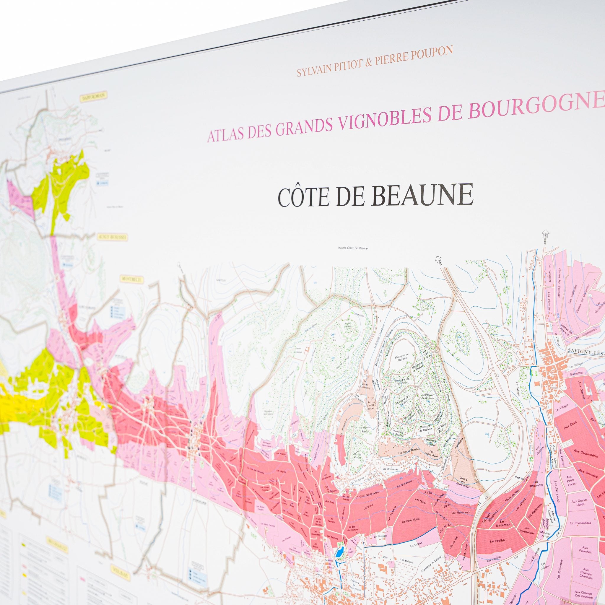 Côte d'Or: Côte de Nuits & Côte de Beaune