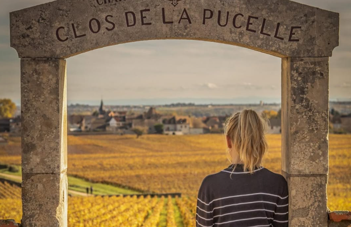 bourgogne dijon