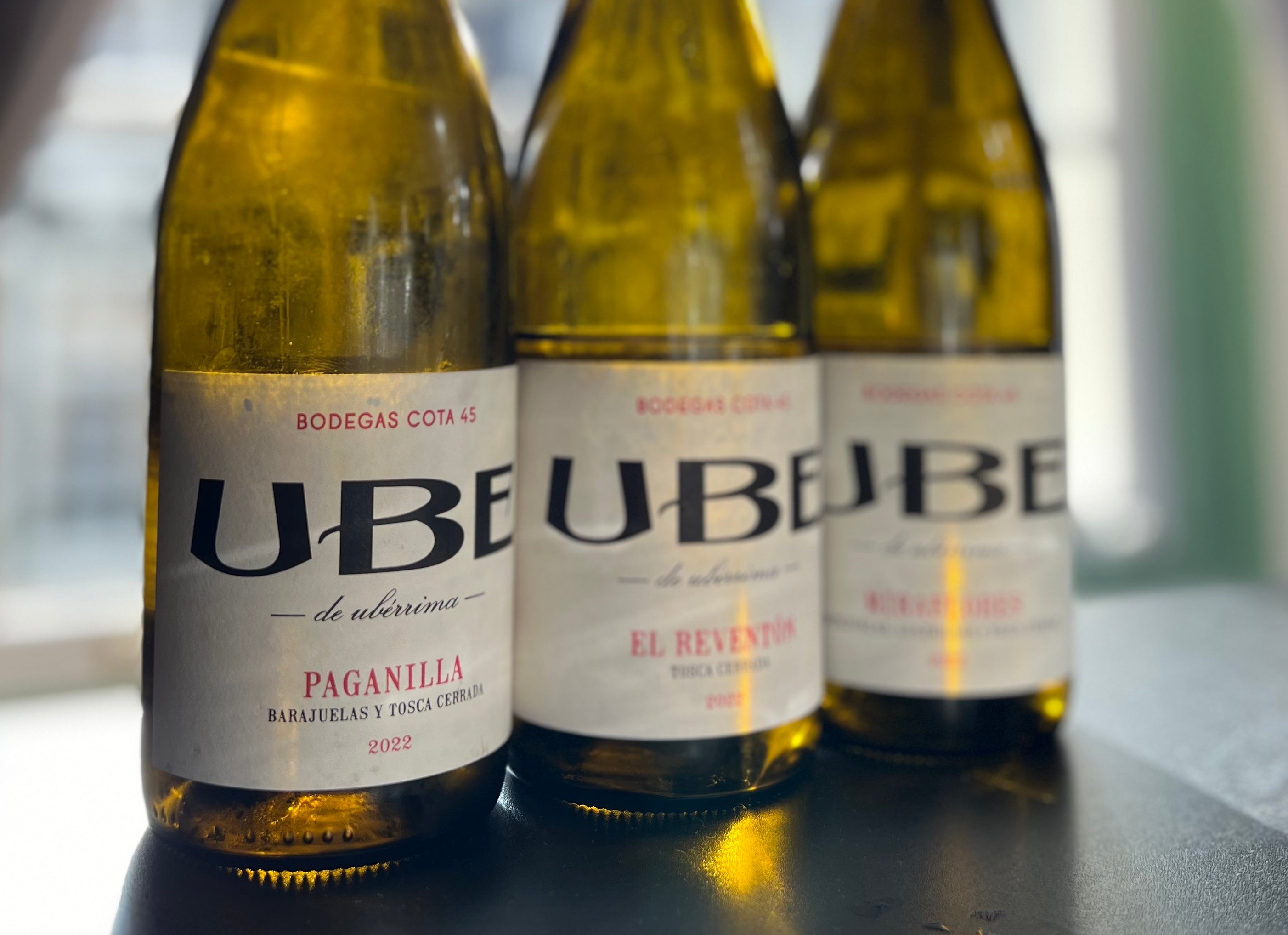 Ramiro Ibañez (Cota 45)