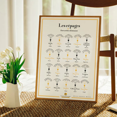 Poster - Grape Varieties