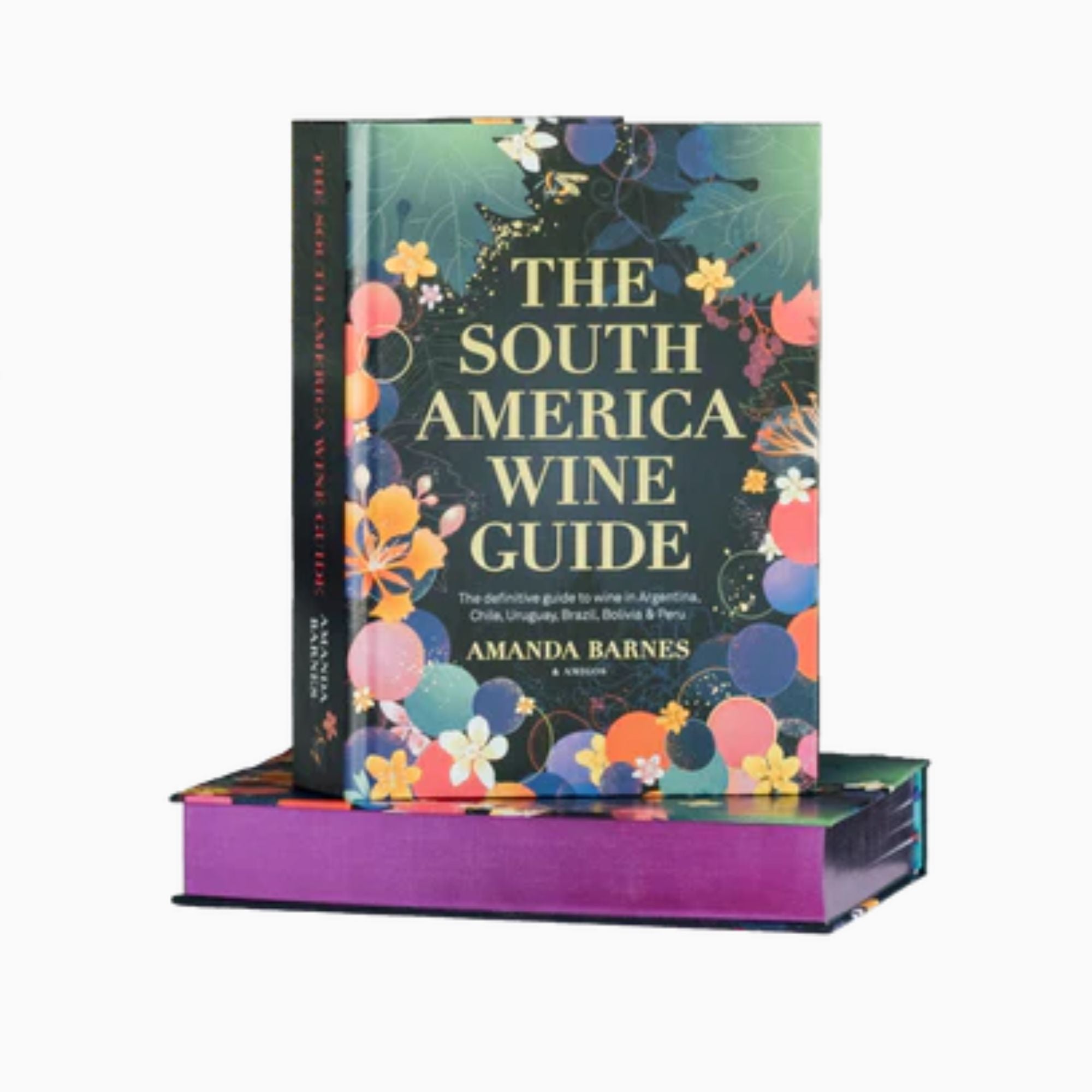 South America Wine Guide